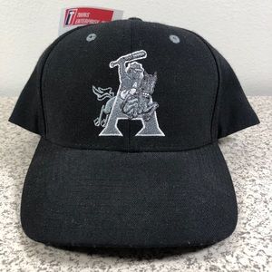 Arkansas Travelers Minor League MiLB Twins Enterprise Snapback Adult Hat Cap NEW